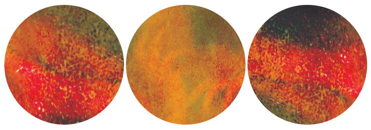 Gnaw Their Tongues - La mort dans toute son ineffable grandeur La mort dans toute son ineffable grandeur