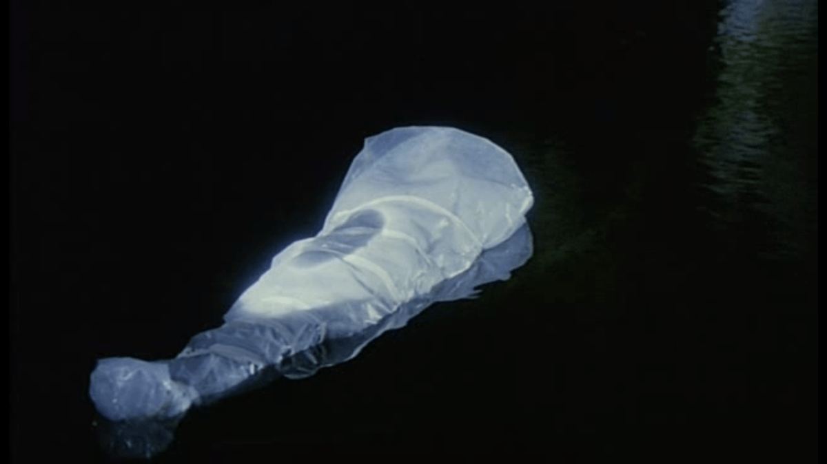 Laura Palmer-Fire Walk With Me