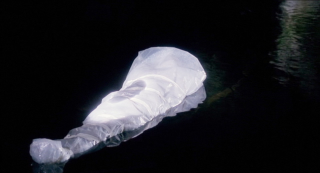 Laura Palmer - Fire Walk With Me